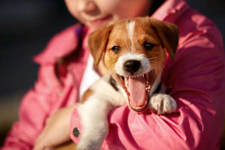 Girl with a dog in park. Closeupの写真素材