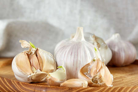 Garlic on flat wooden plate put on rustic rough wooden table with light grey cotton canvas as...