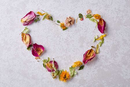 Composition of heart-shaped petals isolated on white background, close-up, overhead, selective focus, flat lay. Creative arrangement made of various soft flowers and leaves scattered on a vintage background. Festive concept.の写真素材