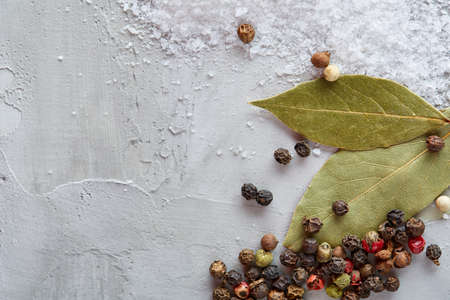 Composition of bay laurel leaf with peppercorn and salt isolated on light background, top view, close-up, selective focus. Aroma collection culinary herbs and spices. Organic condiment. Food background.の写真素材