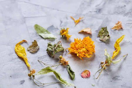 Motley grass on light textured background, close-up, shallow depth of field, selective focus, macro.の写真素材