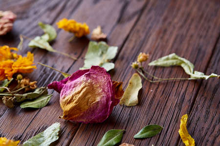 Set of assorted petals isolated on wooden background, top view, close-up, selective focusの写真素材