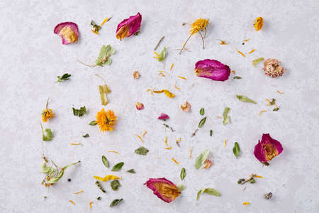 Set of assorted petals isolated on white background, top view, close-up, selective focusの写真素材