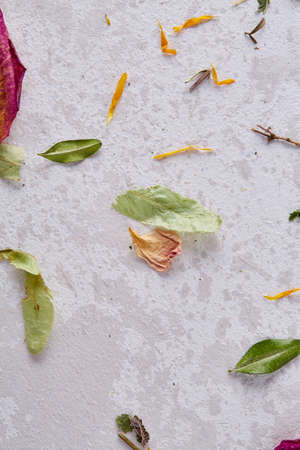 Set of assorted petals isolated on white background, top view, close-up, selective focusの写真素材