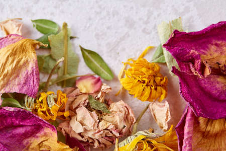Heart-shaped petals isolated on white background, top view, close-up, selective focusの写真素材