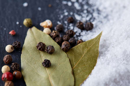 Composition of bay laurel leaf with peppercorn and salt isolated on dark background, top view, close-up, selective focus. Aroma collection culinary herbs and spices. Organic condiment. Food background.の写真素材