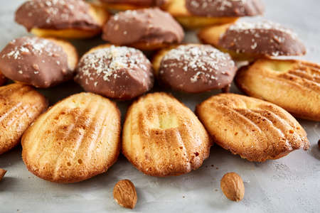 Tasty almond cookies arranged on white background, close-up, selective focusの写真素材