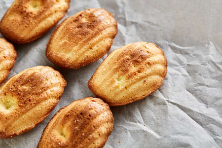 Sweet almond cookies put in rows on white paper background, close-up, selective focusの写真素材