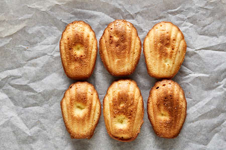 Sweet almond cookies arranged in rows on white paper background, close-up, selective focus, shallow depth of field. Delicious homemade biscuits. Amaretto biscotti. Yummy confectionary. Food concept.の写真素材