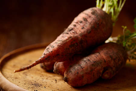 Bundle of carrots with soil on wooden plate over rustic wooden background, side view, close-up, selective focus. Harvesting bunch. Fresh raw carotene. Unpeeled tasty roots. Healthy food background.の写真素材
