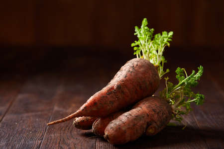 Bundle of carrots with soil over rustic wooden background, side view, close-up, selective focus, low...