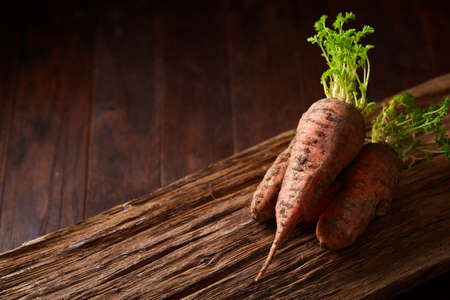 Bundle of carrots with soil over rustic wooden background, side view, close-up, selective focus, low keyの写真素材