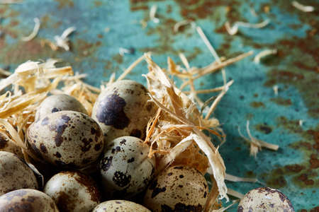 Conceptual still-life with quail eggs in hay nest over blue textured background, close up, selective...