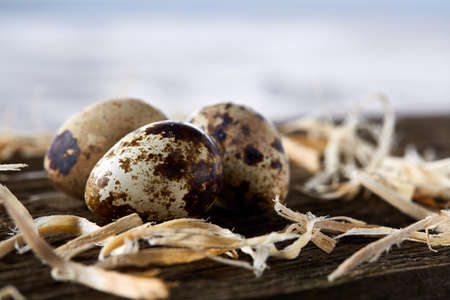 Conceptual still-life with quail eggs in hay nest on dark wooden board over light background, close up, selective focusの写真素材