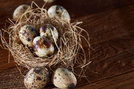 Conceptual still-life with quail eggs in hay nest over dark wooden background, close up, selective focusの写真素材