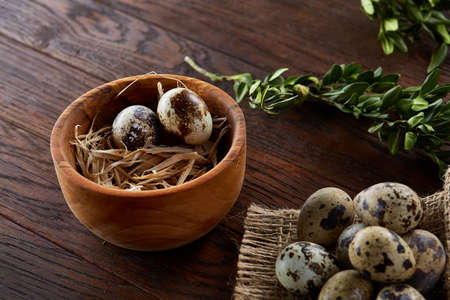 Rural still life with bowl full of eggs quail, eggs on a homespun napkin, boxwood on wooden background, top viewの写真素材