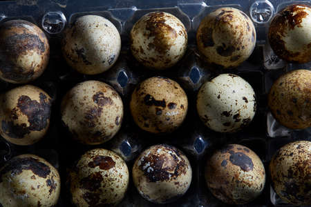 Quail eggs in a plastic container on a dark wooden background, top view, selective focus, close-up,...