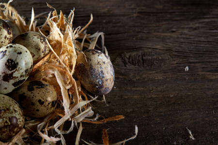 Conceptual still-life with fresh raw spotted quail eggs in hay nest over dark wooden background, close up, selective focus. Decorative rural fragile composition. Healthy eating. Easter background. Healthy food concept.の写真素材