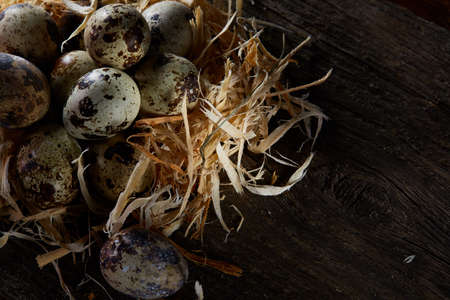 Conceptual still-life with quail eggs in hay nest over dark wooden background, close up, selective...