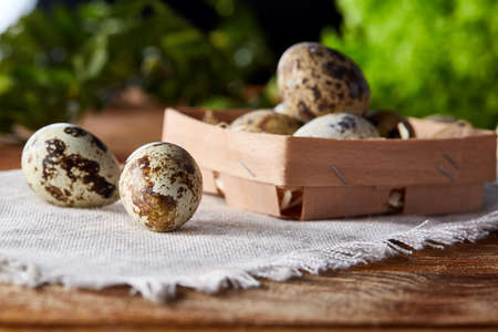 Quail eggs in the container over rustic wooden table, close-up, high angle view, selective focus.