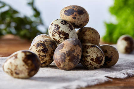 Quail eggs arranged in pyramid on a napkin over a wooden table, close-up, selective focus.の写真素材