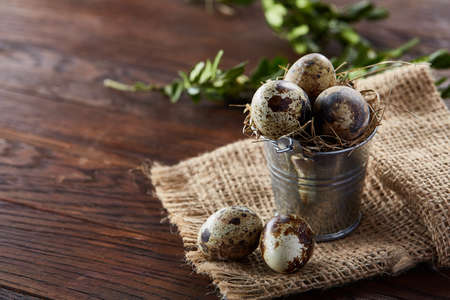 Spring composition of fresh quail eggs in decorative metal bucket with some hay on a homespun napkin and boxwood branches on rustic wooden background, selective focus, close-up. Beautiful rural still life. Healthy dieting concept.の写真素材