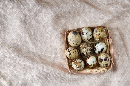 Spotted quail eggs arranged in rows in a box on a rustic wooden background, top view, selective...