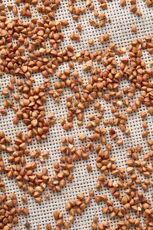 Buckwheat groats on burlap background, top view, close-up, selective focus, shallow depth of field, vertical. Buckwheat background. Useful natural cereal. Organic garnish. Premium cereal for healthy eating or dieting. Healthy food concept.の写真素材
