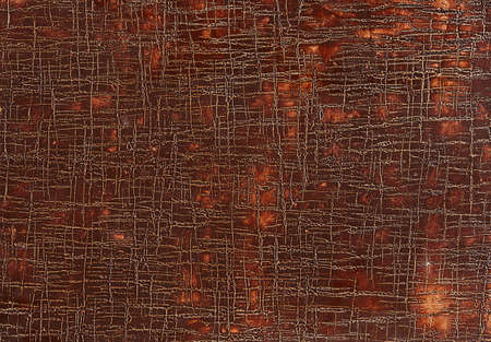 Grunge old brown leather texture background, macro, selective focus. Background for your text,...