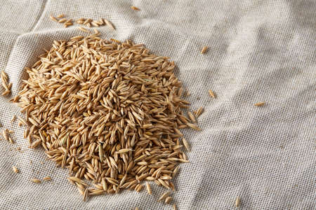 Pile of unpeeled oat grains on homespun tablecloth background, top view, close-up, macro, selective focus. Dietary food. Vegan background. Healthy eating, dieting. Natural nutritious oatmeal. Vegan cuisine. Organic food concept.の写真素材