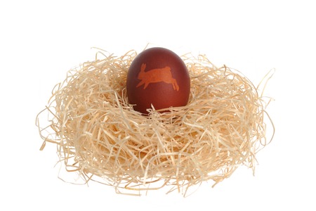 Easter decorated egg in nest isolated on whiteの写真素材