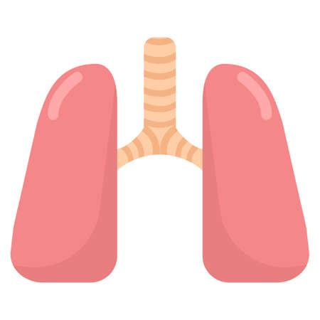 Human lungs organ icon, vector illustration flat style design isolated on white. Colorful graphicsのイラスト素材