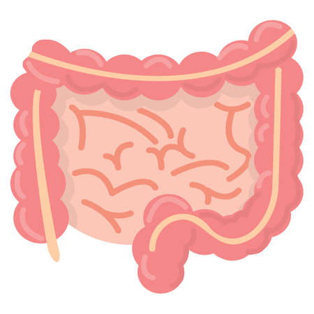 Gut human digestive system icon, vector illustration flat style design isolated on white. Colorful...