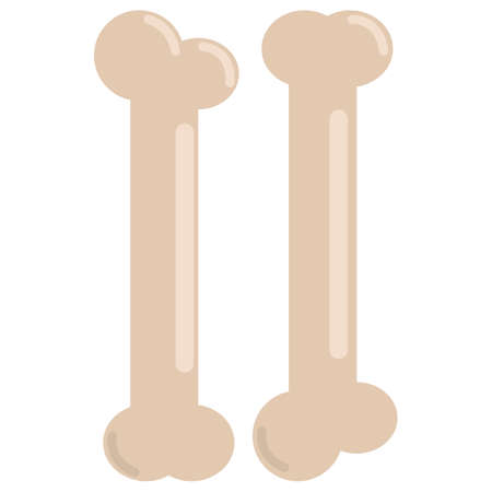 Human bone icon, vector illustration flat style design isolated on white. Colorful graphicsのイラスト素材