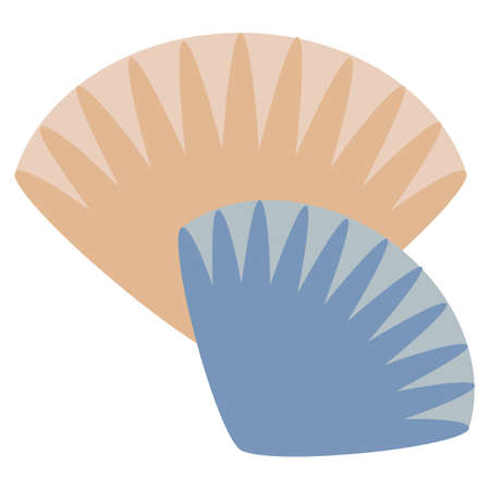 Seashell icon, vector illustration flat style design isolated on white. Colorful graphicsのイラスト素材