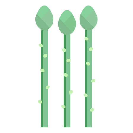 Green asparagus icon, vector illustration flat style design isolated on white. Colorful graphicsのイラスト素材