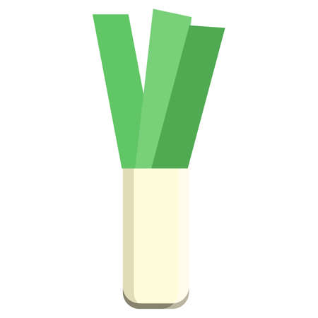 Leek green vegetable icon, vector illustration flat style design isolated on white. Colorful graphicsのイラスト素材