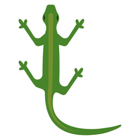 Lizard wild animal flat icon, vector sign, colorful pictogram isolated on white. Symbol, logo illustration. Flat style designのイラスト素材