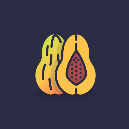 Melon fruit flat icon, vector sign, colorful pictogram. Symbol, logo illustration. Flat style designのイラスト素材