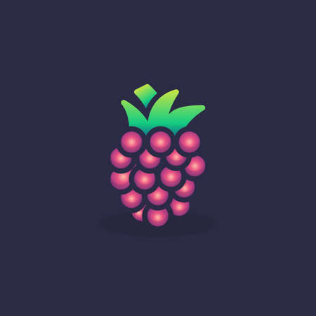 Raspberry flat icon, vector sign, Blackberry colorful pictogram. Symbol, logo illustration. Flat style designのイラスト素材