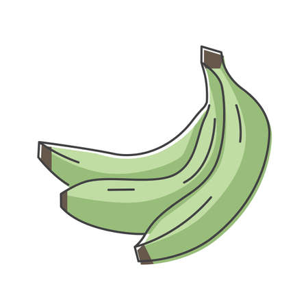 Bunch of banana hand drawn icon, green bananas vector illustration for printingのイラスト素材