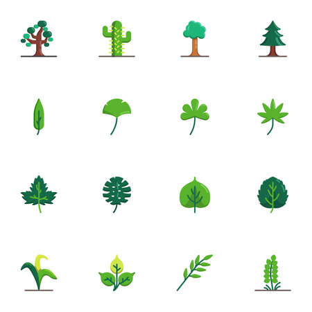 Tree and plants collection, flat icons set, Colorful symbols pack contains - maple tree leaf, succulent cactus, evergreen conifer tree. Vector illustration. Flat style designのイラスト素材