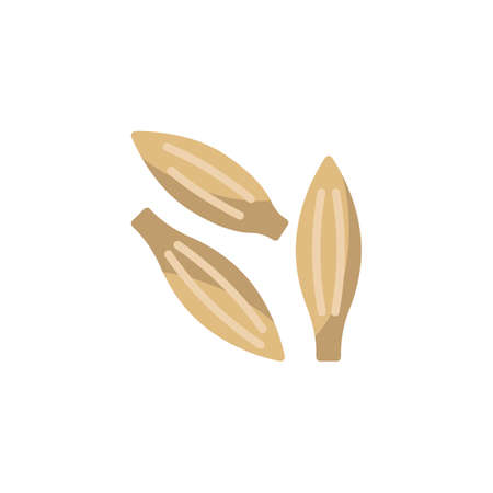 Caraway seed flat iconのイラスト素材