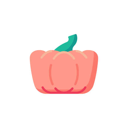 Thanksgiving pumpkin flat iconのイラスト素材