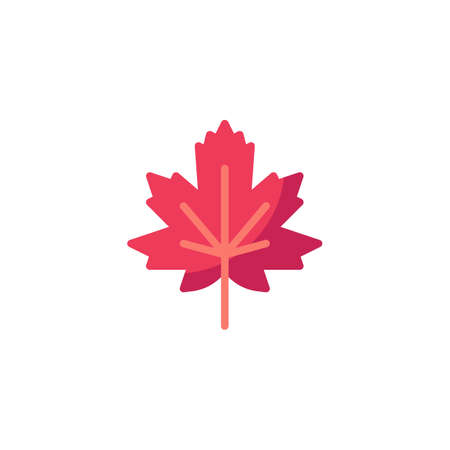 Maple leaf flat icon