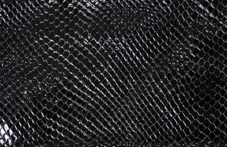 Lacquered black imitation leather, backgroundの写真素材