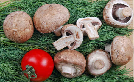 Champignons and red tomato lie on dillの写真素材