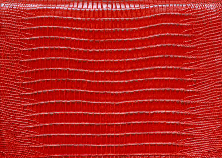 Texture of genuine leather redの写真素材