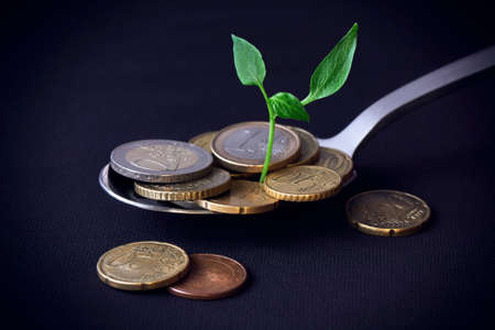 Green sprout breaking through the Euro lying on a spoon on a dark background, shallow depth of...
