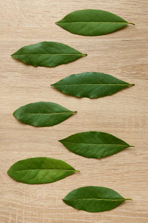 Dried bay leaves laid out on the table, top view, spicesの写真素材